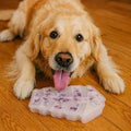SIUPER 7.5IN Big Fish Bone Dog Cat Treat Mold 1 Pack, DIY Flavors for Puppy. Food Safe Silicone for Oven. Large Ice Cube Mold for Pet Chew, Cooling. Pets Birthday Cake Baking. Fun Gift for Dog Lover