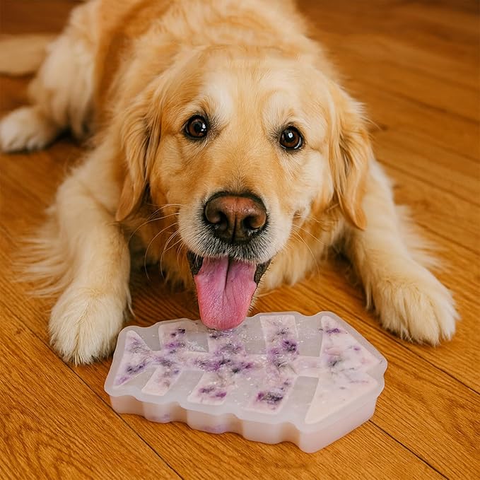 SIUPER 7.5IN Big Fish Bone Dog Cat Treat Mold 1 Pack, DIY Flavors for Puppy. Food Safe Silicone for Oven. Large Ice Cube Mold for Pet Chew, Cooling. Pets Birthday Cake Baking. Fun Gift for Dog Lover