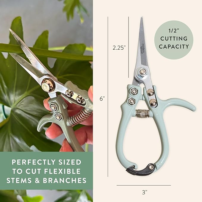 Modern Sprout Pruning Shears - Garden Snips - Herb Scissors - Sage 1-Pack
