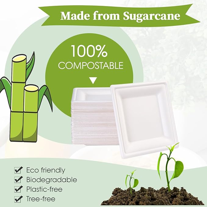 ECOLipak 6 Inch Compostable Square Paper Plates, 300 Count Appetizer Plates