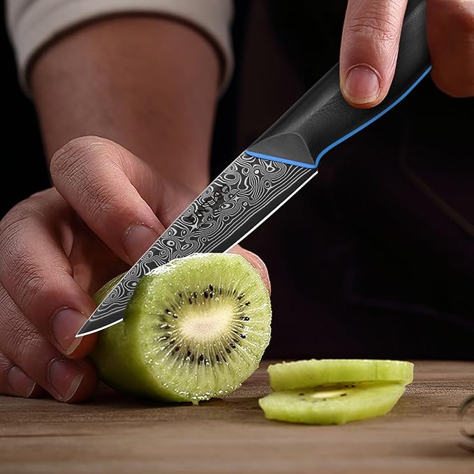 Paring Knife 3.75 Inch with 67-Layer Japanese Damascus Steel, G10 Handle