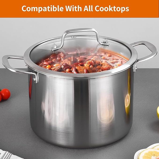 DELARLO Tri-ply Stainless Steel 12 Quart Heavy Duty Induction Stock Pot