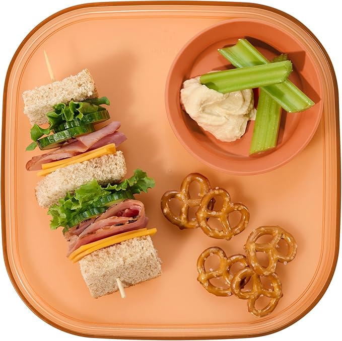 Madesmart Dipware Reusable Dining Plate, Serving Tray for Appetizers and Snacks, Sandwiches, Hummus, Sauces, Stackable & Removable Dip Bowl, PinkTerracotta