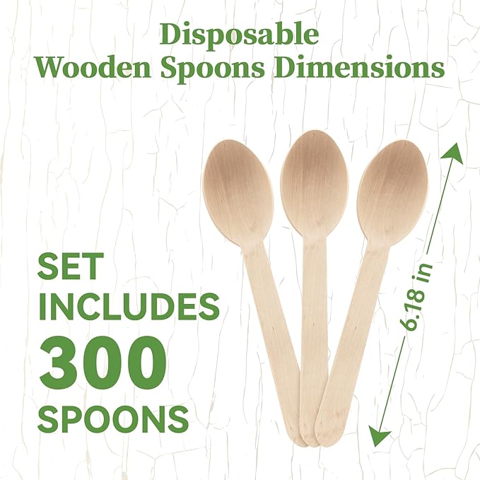 ECOLipak 300 Count Compostable Wooden Disposable Spoons for Party, Dinner