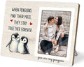 Penguin Photo Frame Gift, Engagement Picture Frame, Wedding Gifts for Couple, Valentine's Gift for Him Her, Anniversary Couple, fits 4x6 Photo, When Penguins Find Their Mate They Stay Together Forever