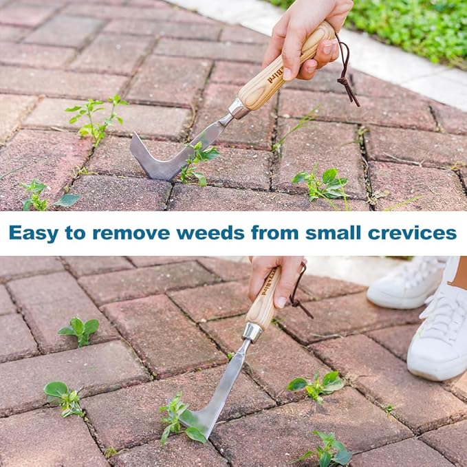 Berry&Bird Crack Weeder, Crevice Weeding Tool, 11.2" Garden Manual Weeder