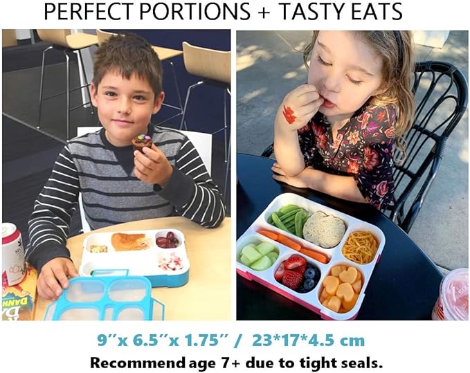 kinsho Lunch Boxes for Kids Boys Girls - Bento Box Set of 2, with Insulated Bag & Ice Pack, 6 Compartment Leak Proof Container, BPA-Free, Microwave Safe, Ideal for School & Work, Blue & Pink