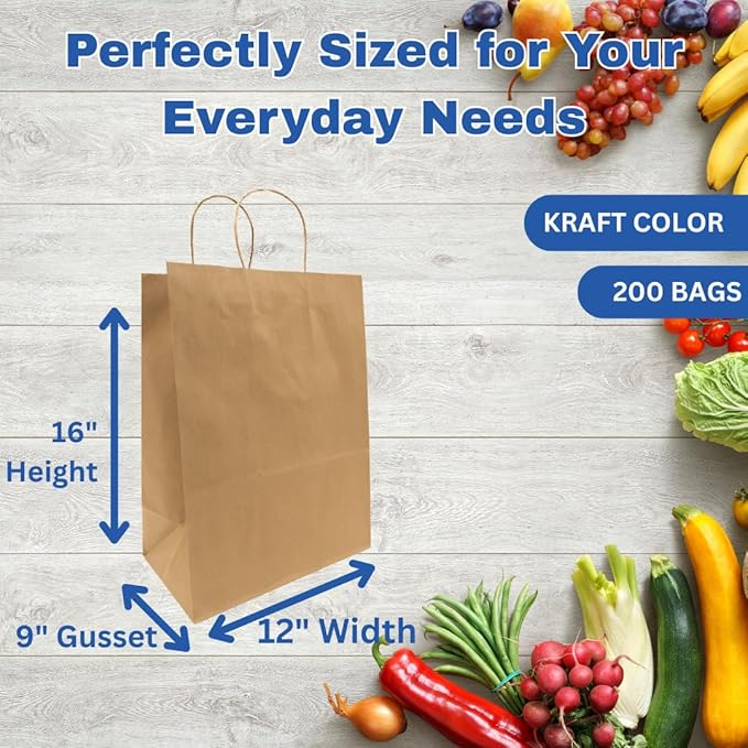 ASSUREPAK Kraft DIY Paper Bags, 12" x 9" x 16", 110 GSM, 200 Count