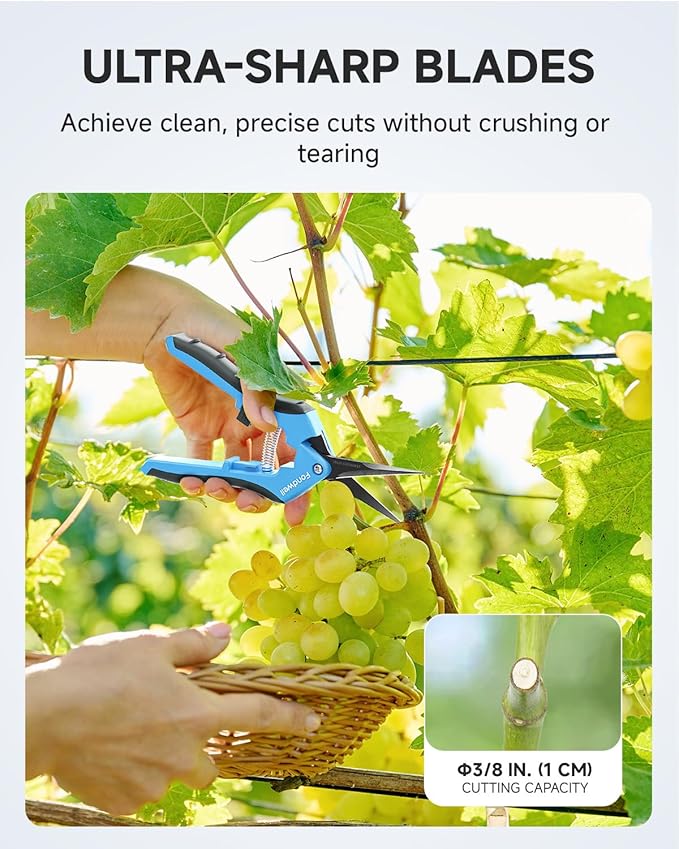 Fondwell 6.5" Small Pruning Shears Garden Snips Precision Trimming Scissors