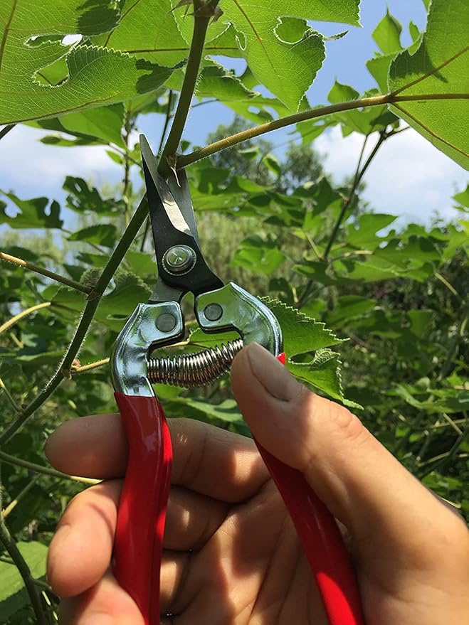 gonicc Micro-Tip Pruning Snips(GPPS-1008), Stainless Steel Garden Shears