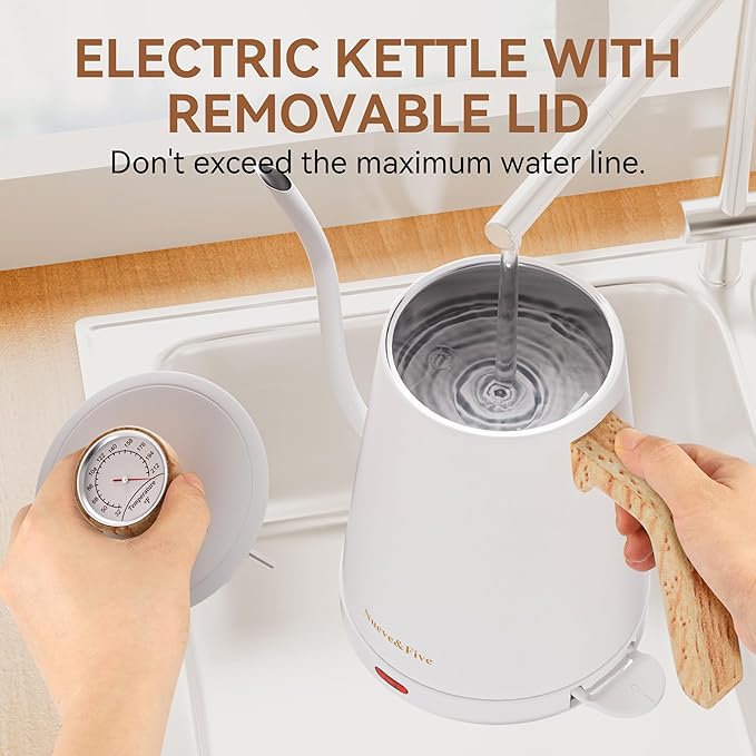 Nueve&Five Electric Gooseneck Kettle with Thermometer, 1.0L Pour Over Hot Water Kettle for Coffee and Tea, 1000W, Auto Shutoff, Boil-Dry Protection, White