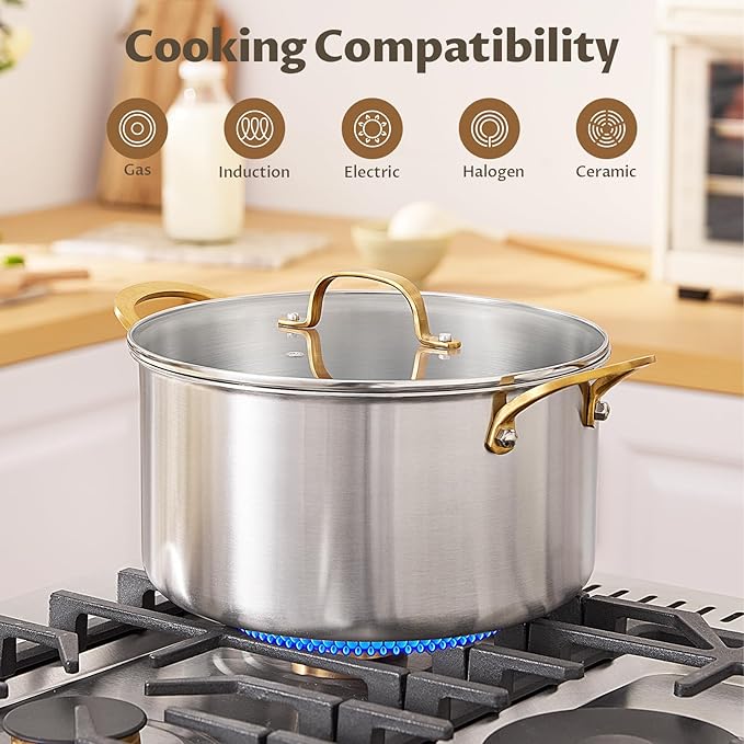 BEZIA 10 QT Stock Pot with Lid, Full Clad Tri-Ply Stainless Steel Soup Pot