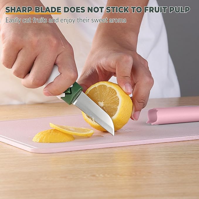 2 in 1 stainless steel Paring knife Peeler; fruit peeler; apple peeler; pear peeler, vegetable peeler, Kitchen Peeler (2, Pink White)