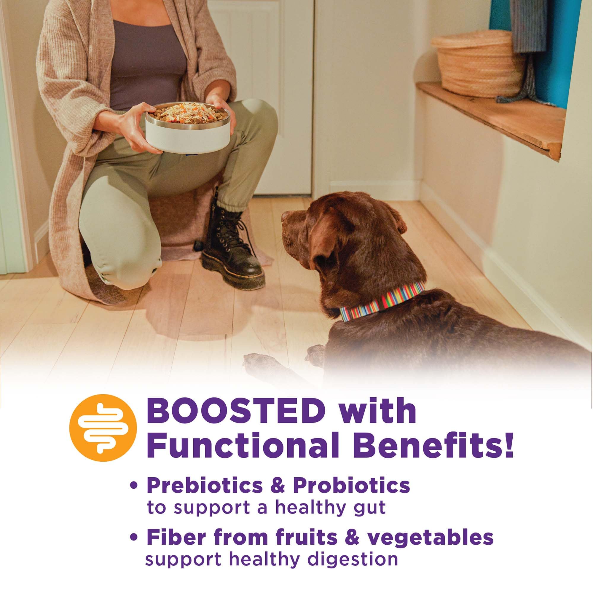 Wellness Bowl Boosters Digestive Health Dog Food Topper with Freeze Dried Pieces for Small, Medium, and Large Breeds, Sensitive Stomach, Grain Free, Natural, Chicken Recipe, 4 oz Bag