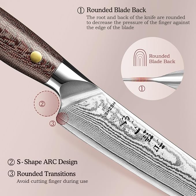 HEZHEN 8.3'' Damascus Carving Knife – 67 Layers Damascus Steel, Professional Brisket Slicing for BBQ, Smoked Meat & Roast, Full Tang Micarta Handle, Gift Packing