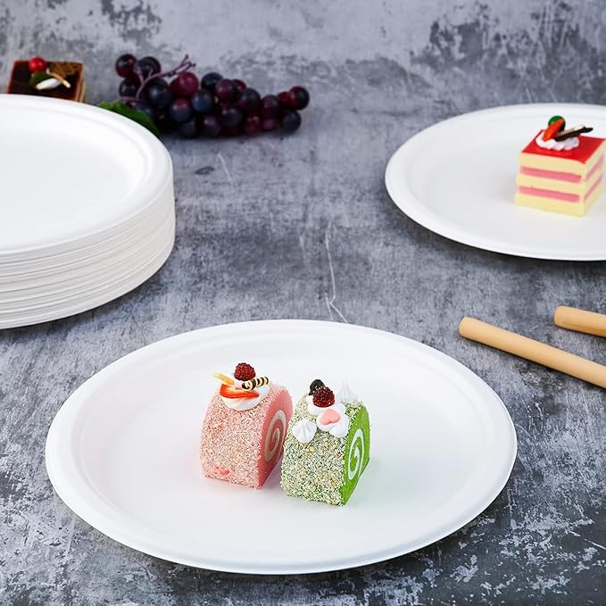 Vplus 500 Pack Compostable Bagasse Paper Plates 10.25 inch, White