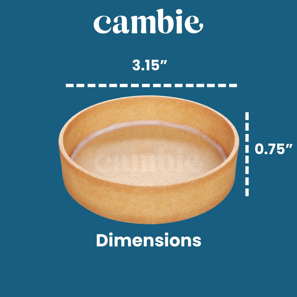 Cambie Sweet Round Large Tart Shells, 3.15" Diameter, French Style Tart Shells with White Chocolate Coating (Pack of 24)