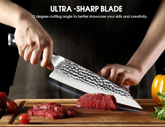 BRODARK Japanese Chef Knife, 8 inch Damascus Chef Knife, Ebony Wood Handle