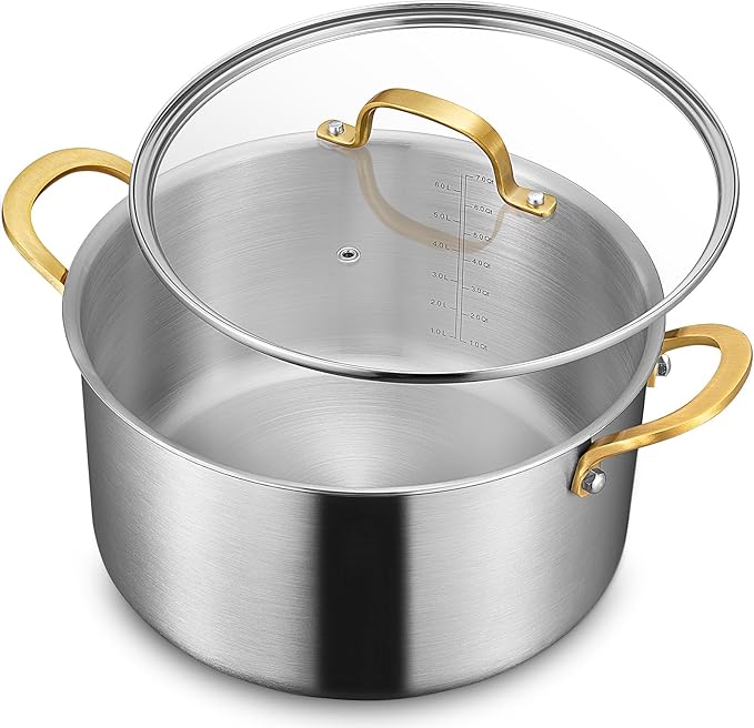 BEZIA 6 QT Stock Pot with Lid, Full Clad 3-Ply Stainless Steel Cooking Pot