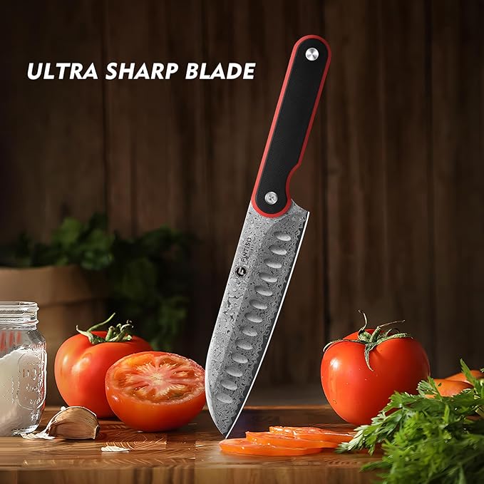 Santoku Knife 7 Inch, 67-Layer Damascus Steel Chef Knife with G10 Handle