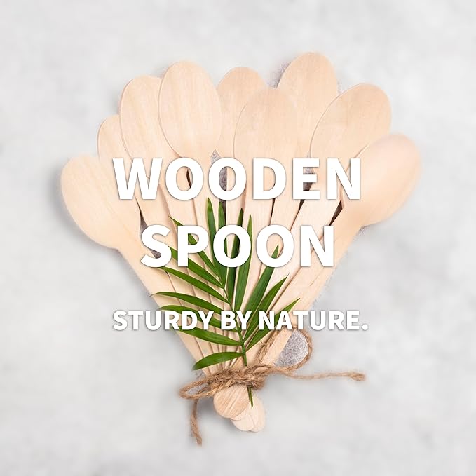 360 Pcs Disposable Wooden Spoons, Compostable Spoon Set