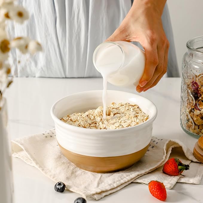 HASENSE Ceramic Cereal Bowls, 20 OZ Soup Bowls for Kitchen, White Bowls Dishwasher and Microwave Safe, Stackable Bowl Set for Pasta Oatmeal Rice Ice Cream, Colorblocked Design Dessert Bowls, Set of 6