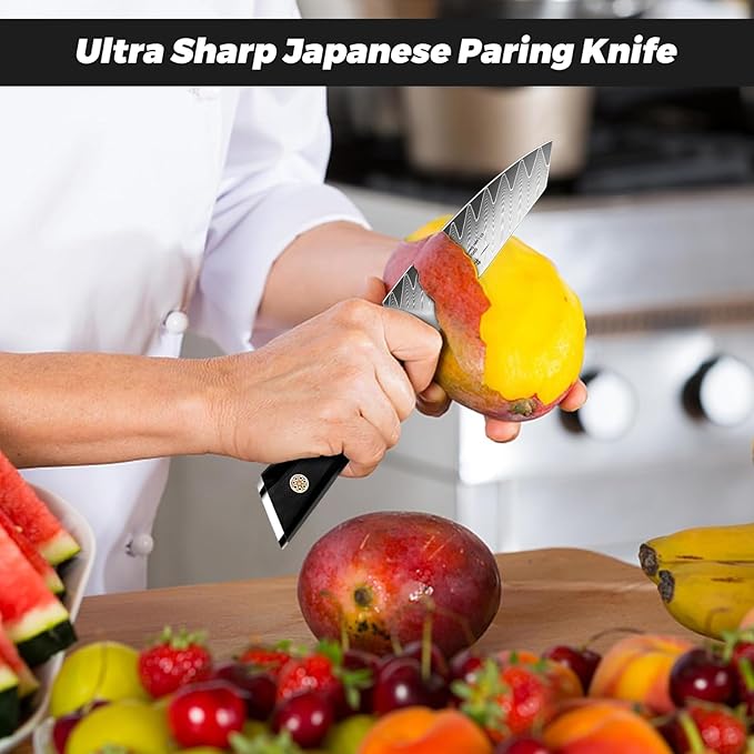 SHAN ZU Damascus Paring Knife,Fruit Knife 4 Inch