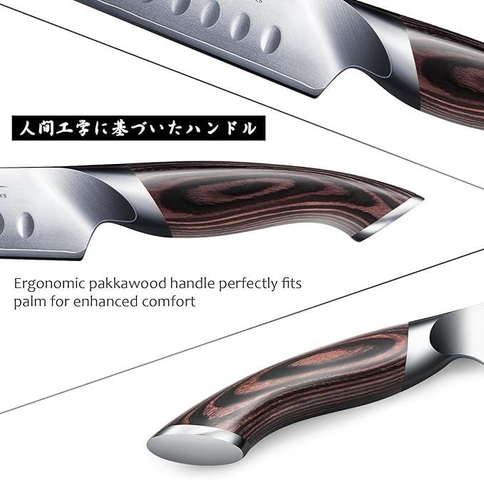 HOSHANHO Carving Knife 12 Inch, Razor Sharp Japanese Brisket Slicing Knife