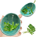 YIYIBB Herb Stripper, 4-Hole Design Pottery Herb Stripper