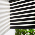 Persilux Cordless Zebra Blinds for Windows Free-Stop Roller Windows Shades Dual Layer Light Control for Day and Night, Light Filtering Sheer Shades for Home (34" W X 64" H, Cream)