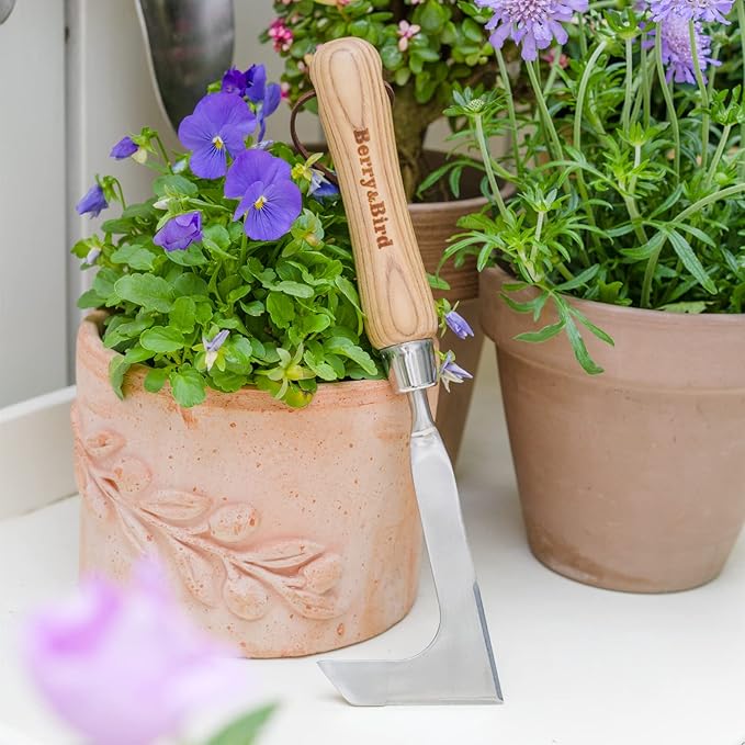 Berry&Bird Crack Weeder, Crevice Weeding Tool, 11.2" Garden Manual Weeder