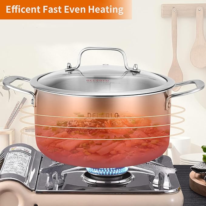 DELARLO Tri-ply Stainless Steel 6 Quart Heavy Duty Induction Stock Pot