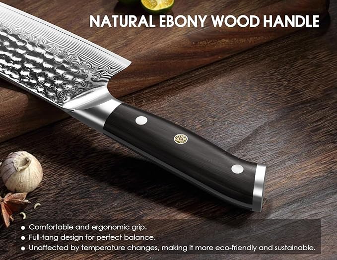 BRODARK Japanese Chef Knife, 8 inch Damascus Chef Knife, Ebony Wood Handle