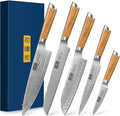 HOSHANHO Damascus Kitchen Knife Set 5PCS, Sharp Chef Knives Ergonomic Grip
