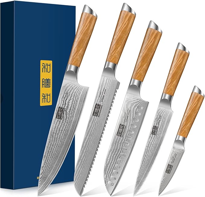 HOSHANHO Damascus Kitchen Knife Set 5PCS, Sharp Chef Knives Ergonomic Grip