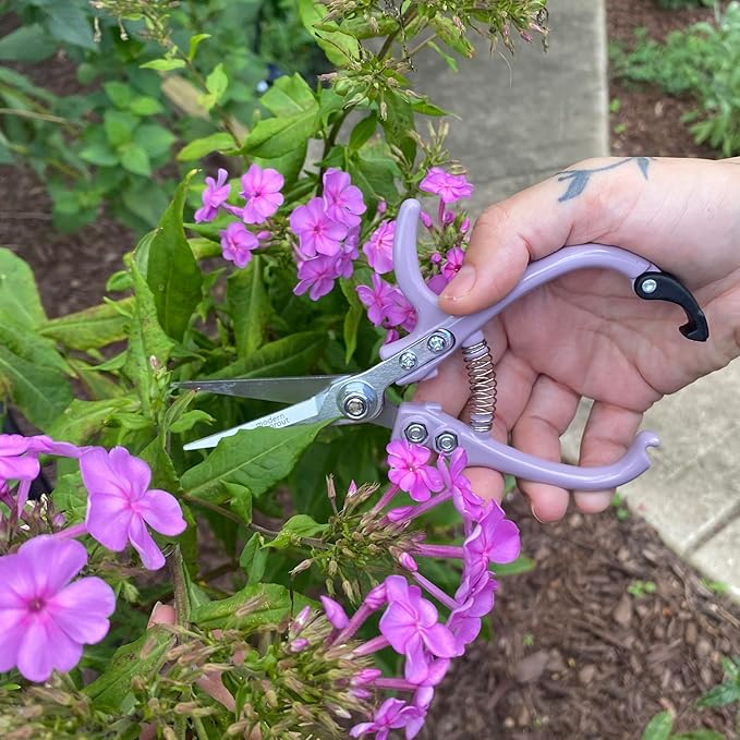 Modern Sprout Pruning Shears- Garden Snips - Herb Scissors- Lavender 1-Pack