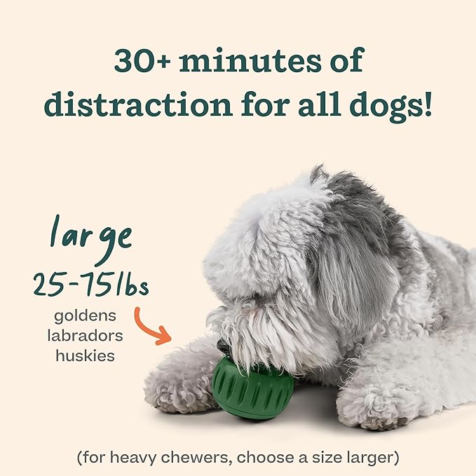 WOOF Pupsicle Dog Treat Toy with Silicone Treat Tray for Dogs 25-75 lbs