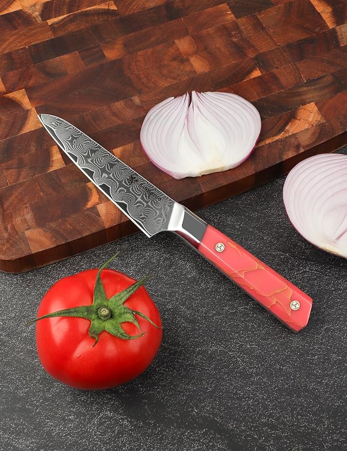 SANMUZUO Kitchen Utility Knife 5 Inch, Professional Kitchen Chef Knife, Ultra Sharp Damascus Powder Steel with Full-tang Resin Handle, SHENG Series