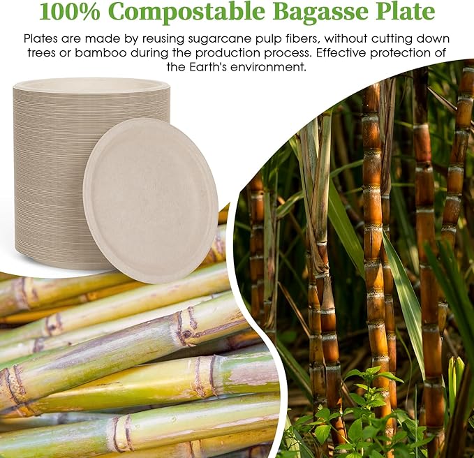 ECOLipak 6 in 200 Pack Natural Disposable Compostable Dessert Paper Plates