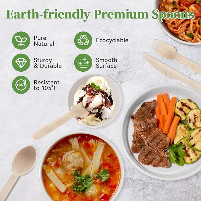 ECOLipak 300 Count Compostable Wooden Disposable Spoons for Party, Dinner