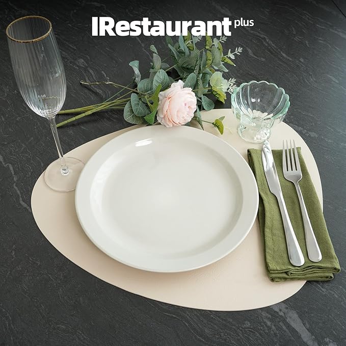 IRESTAURANT PLUS Stoneware Narrow Rim Commercial Grade Dinnerware America White, Plate 9", Case of 24