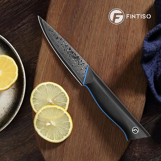 Paring Knife 3.75 Inch with 67-Layer Japanese Damascus Steel, G10 Handle