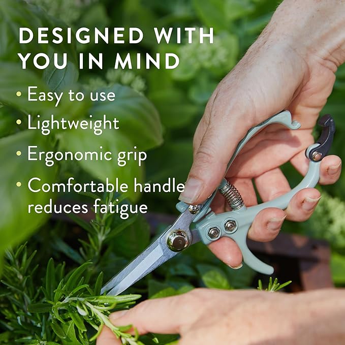 Modern Sprout Pruning Shears - Garden Snips - Herb Scissors - Sage 1-Pack
