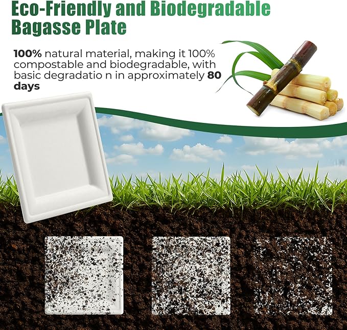 300 Pcs Biodegradable Paper Plates Set Disposable Dinnerware
