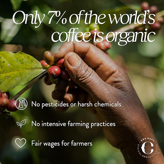 Cru Kafe Bright Roast USDA Organic Espresso Coffee Capsules (50 Pods) Fairtrade Coffee Pods Compatible with Nespresso Original Line and Pixie Machines