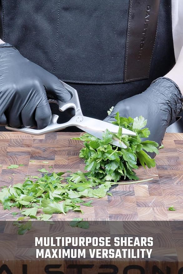 Dalstrong Kitchen Scissors — Japanese Stainless Steel Shears, Ambidextrous, Detachable for Cleaning — For Spatchcocking Chicken, Trimming Herbs, Pizza, Flatbread & Package Opening