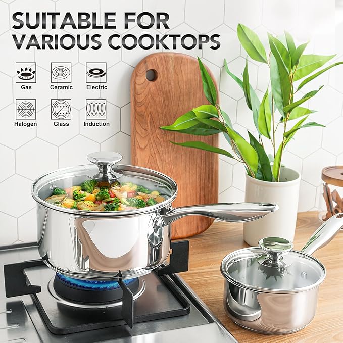 MICHELANGELO Stainless Steel Saucepan Set 1Qt & 2Qt, 18/10 Stainless Steel Pot Set, Induction Saucepan with Glass Lid, Dishwasher & Oven Safe (No Coating & Non-toxic)