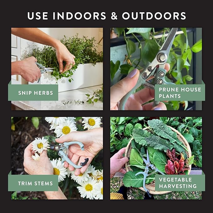 Modern Sprout Pruning Shears- Garden Snips - Herb Scissors- Lavender 1-Pack