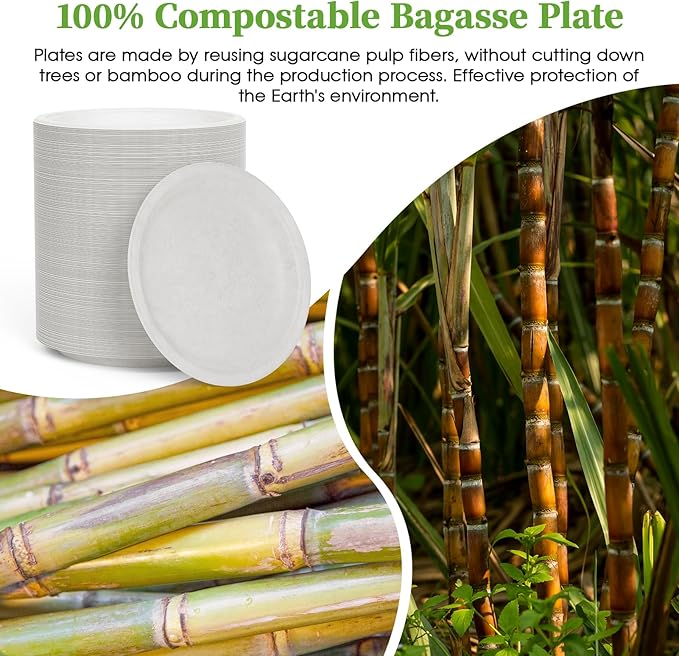 ECOLipak 6 in 200 Pack White Disposable Compostable Dessert Paper Plates