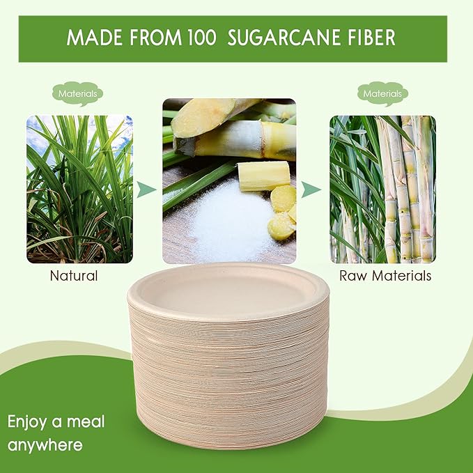 Vplus 500 Pack Compostable Bagasse Paper Plates 10.25 inch, Nature
